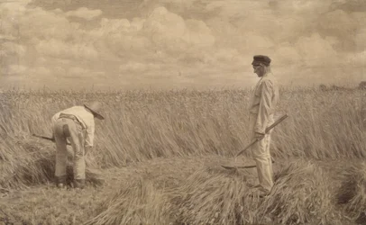 Die Lehrlinge, 1892